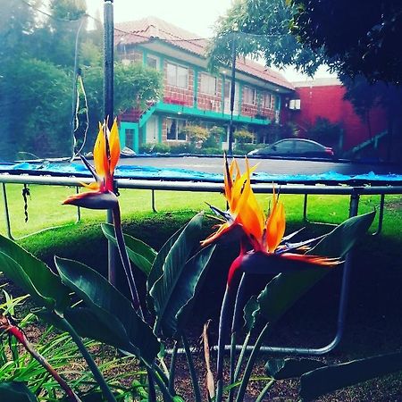 Hotel Las Fumarolas De Don Goyo โชลูลา ภายนอก รูปภาพ