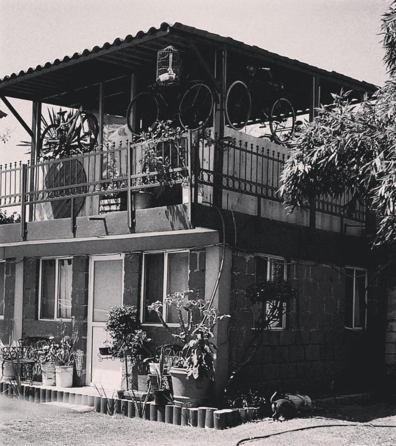 Hotel Las Fumarolas De Don Goyo โชลูลา ภายนอก รูปภาพ