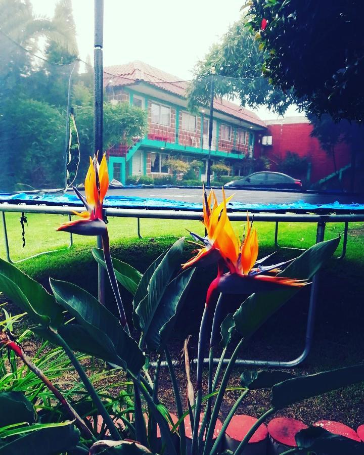 Hotel Las Fumarolas De Don Goyo โชลูลา ภายนอก รูปภาพ